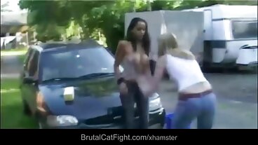 الجمال هالي مقاطع فيديو سكسي حديث ريد يحب الحمار مفغور!